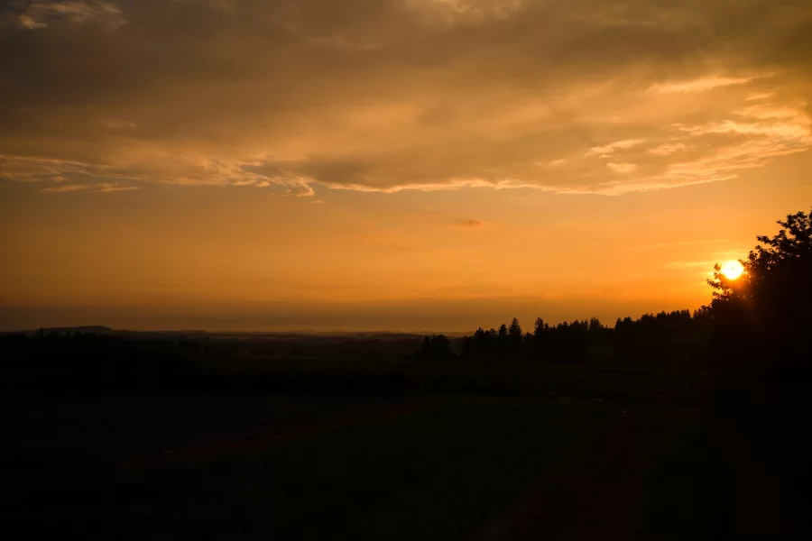 Výstava "Já tiše říkám díky"