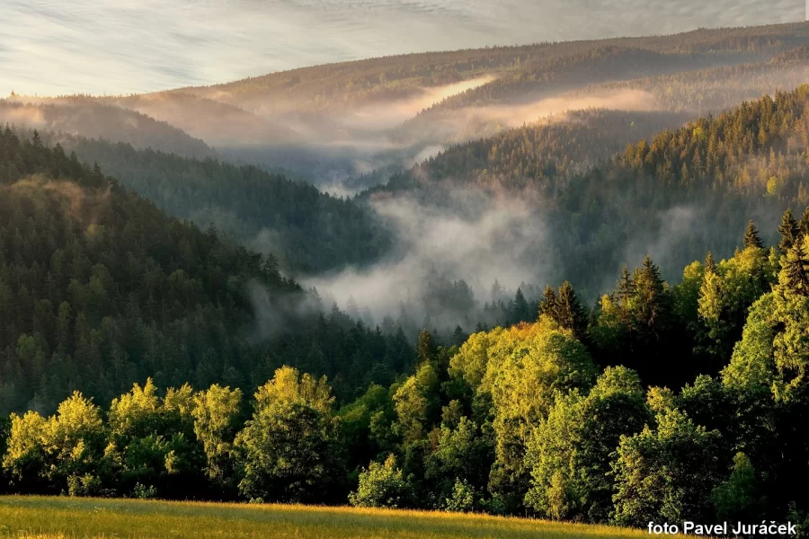 Moje Šumava aneb Šumava objektivy 53 fotografů