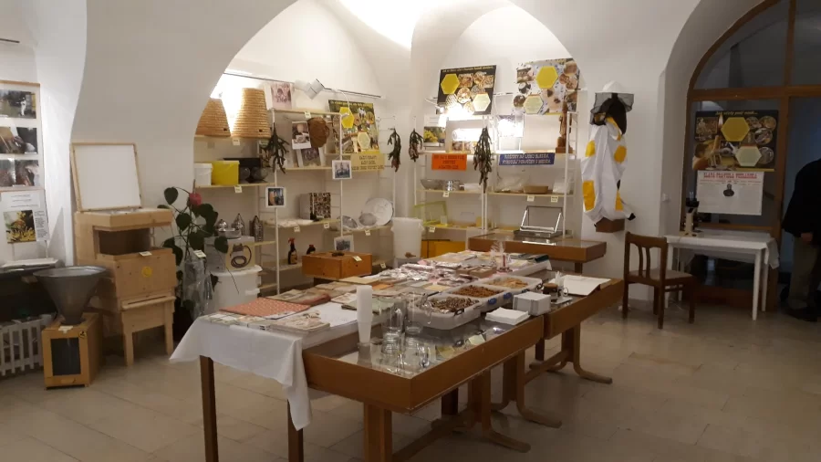 Včelařská výstava s vůní včelích pokladů