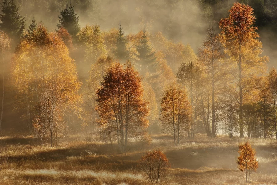 Josef/Jožka Uhlíř: Výstava  fotografií a fotoobrazů